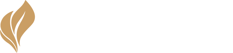31º Cartório SP